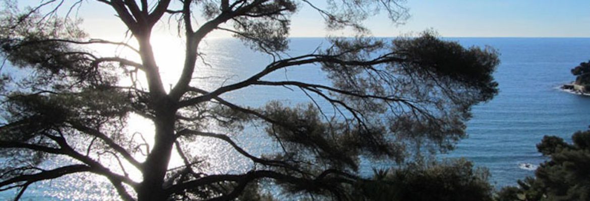 Agenzia Villa Fiorita – Sanremo 1