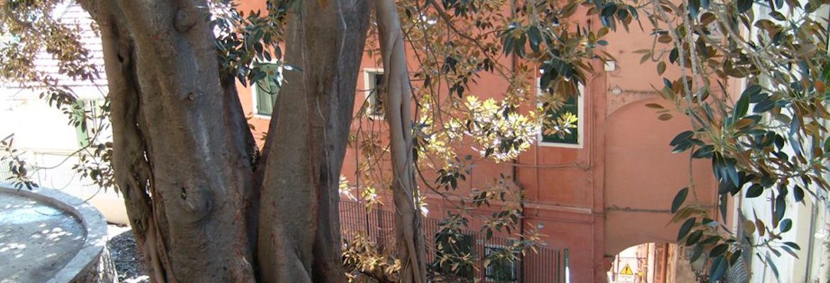 Agenzia Villa Fiorita – Sanremo Old Town 1