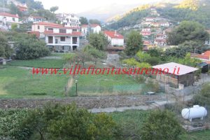 Dante Flat – Image 1