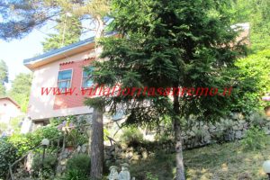 Bajardo Cottage – V266 – Image 6