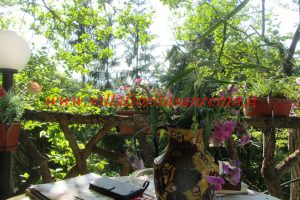 Bajardo Cottage – V266 – Image 9