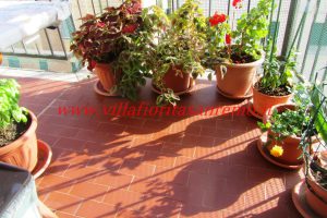 Baragallo Apartment – V422 – Image 3