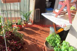 Baragallo Apartment – V422 – Image 4