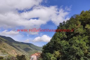 Ceriana Studio – V424 – Image 1