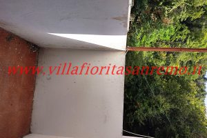 Ceriana Studio – V424 – Image 2