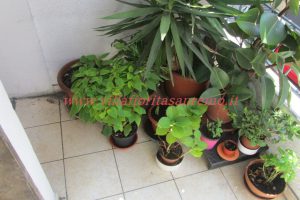 City Centre Flat – Image 1