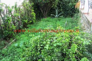 City Cottage – V427 – Image 32