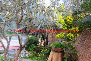 City Villa – V132 – Image 6