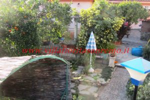 City Villa – V132 – Image 8