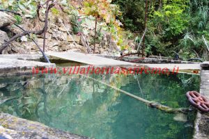 Country Cottage – V55 – Image 1