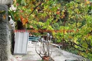 Country Cottage – V55 – Image 11