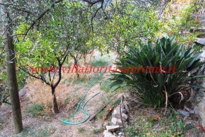 Country Cottage – V55 – Image 17