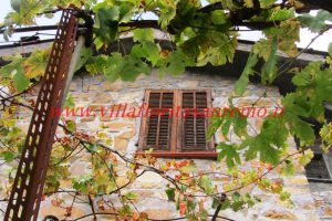 Country Cottage – V55 – Image 2