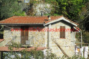 Country Cottage – V55 – Image 29