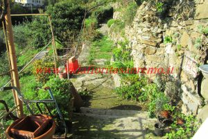 Country Cottage – V55 – Image 31