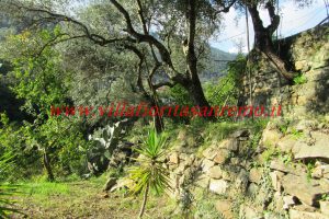 Country Cottage – V55 – Image 33
