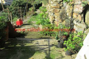 Country Cottage – V55 – Image 34