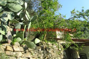 Country Cottage – V55 – Image 35