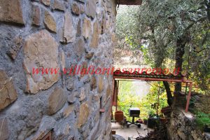 Country Cottage – V55 – Image 5