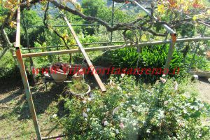 Country Villa – V420 – Image 13