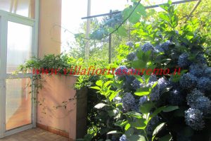Country Villa – V420 – Image 14