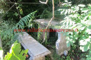 Country Villa – V420 – Image 30