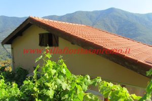 Country Villa – V420 – Image 35
