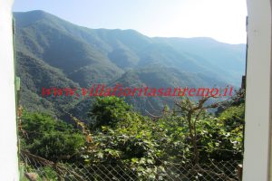 Country Villa – V420 – Image 47
