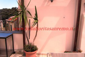 Double Terrace Attic – V216 – Image 2