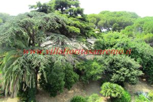 Earth-sky Park – V223 – Image 1