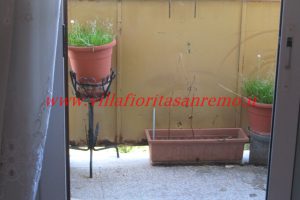 Four Rooms Apartment – V296 – Image 1