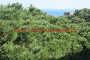 Four Rooms Apartment – V296 – Image 3