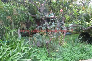 Garden House – V108 – Image 1