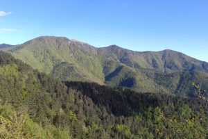 Inland Studio – V114 – Image 1
