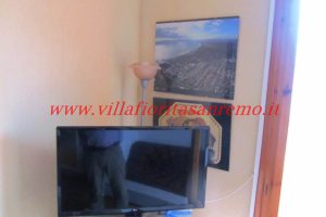Inland Studio – V114 – Image 6