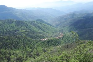 Inland Studio – V114 – Image 9