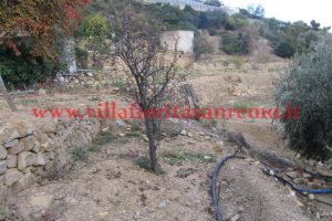 Land West San Remo – V23 – Image 3