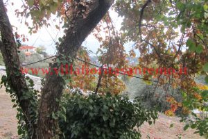 Land West San Remo – V23 – Image 4