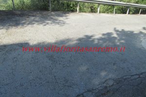 Olive Grove – V148 – Image 1