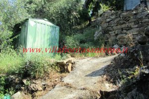 Olive Grove – V148 – Image 17