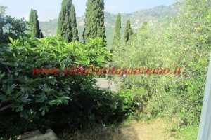 Olive Grove – V148 – Image 19