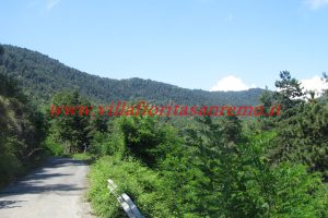Park Cottage – V421 – Image 10