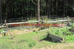 Park Cottage – V421 – Image 11