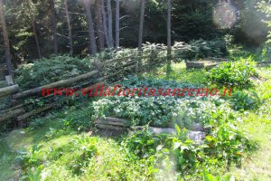 Park Cottage – V421 – Image 12