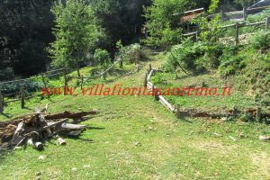 Park Cottage – V421 – Image 13