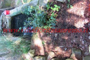Park Cottage – V421 – Image 34