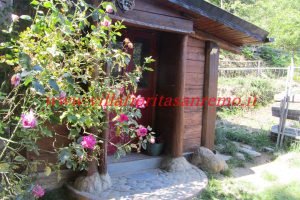 Park Cottage – V421 – Image 67