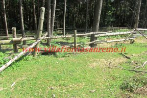 Park Cottage – V421 – Image 7