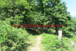 Park Cottage – V421 – Image 72