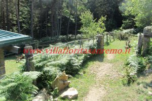 Park Cottage – V421 – Image 73